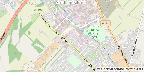 Map of Newmarket, Suffolk