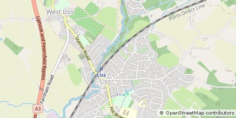 Map of Liss