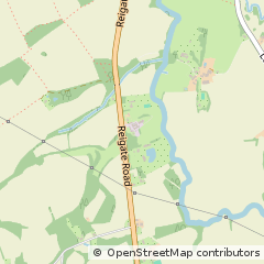 Map of Reigate, Surrey