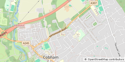 Map of Cobham, Surrey