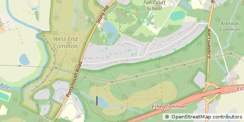 Map of Esher, Surrey