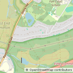 Map of Esher, Surrey