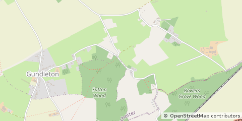 Map of Alresford, Hampshire