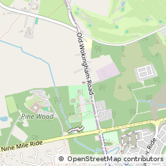 Map of Wokingham