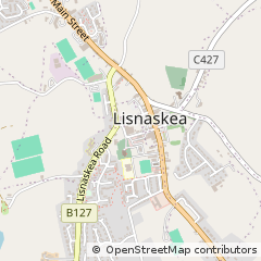 Map of Lisnaskea, CO. Fermanagh