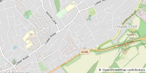 Map of Leatherhead, Surrey