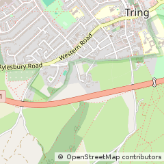 Map of Tring, Herts