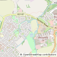 Map of Wellington, Somerset