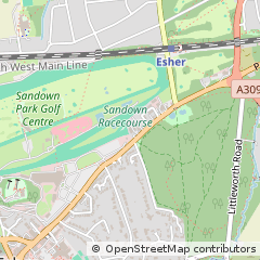 Map of Esher, Surrey