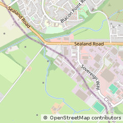 Map of Chester, Flintshire