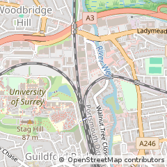 Map of Surrey