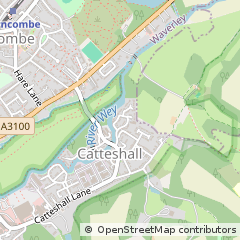 Map of Godalming, Surrey