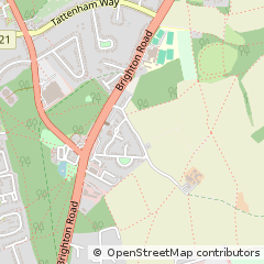 Map of Burgh Heath, Surrey