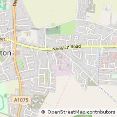 Map of Thetford, Norfolk