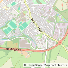 Map of Mold, Flintshire