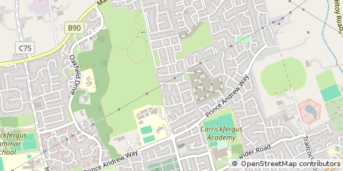 Map of Carrickfergus, County Antrim