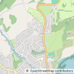 Map of Lyme Regis, Dorset