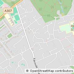 Map of Cobham