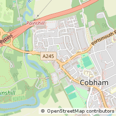Map of Cobham, Surrey