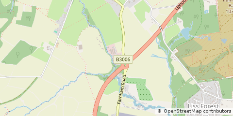 Map of Liss