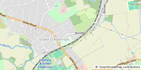 Map of Cobham, Surrey