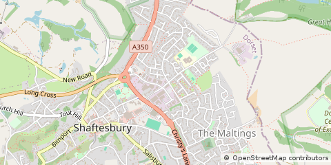 Map of Shaftesbury