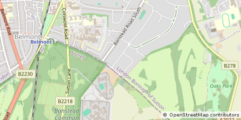 Map of Surrey