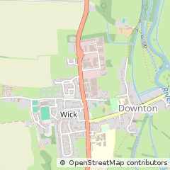 Map of Downton, Wiltshire