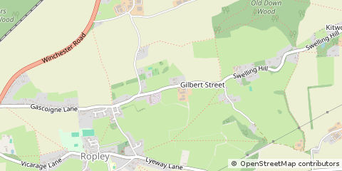 Map of Alresford, Hampshire