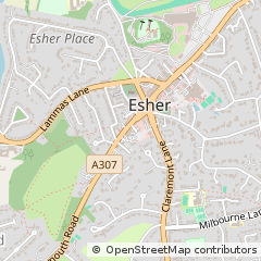 Map of Esher, Surrey