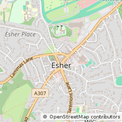 Map of Esher