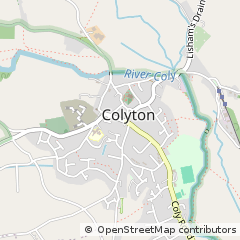 Map of Colyton, Devon