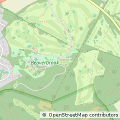 Map of Leatherhead, Surrey