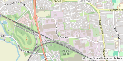 Map of Avenue Worksop, Nottinghamshire