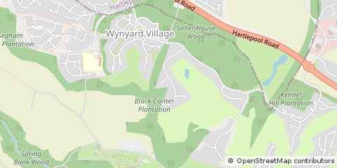 Map of Billingham