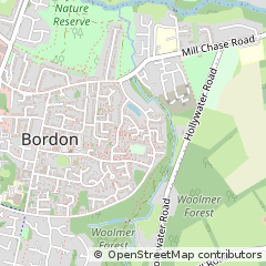 Map of Bordon