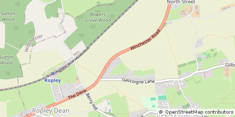 Map of Ropley, Hampshire