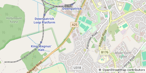 Map of Downpatrick, County Down