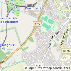 Map of Downpatrick, County Down
