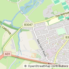 Map of Alresford