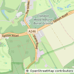 Map of West Clandon, Surrey