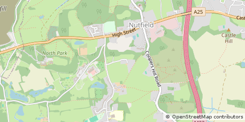 Map of South Nutfield, Surrey