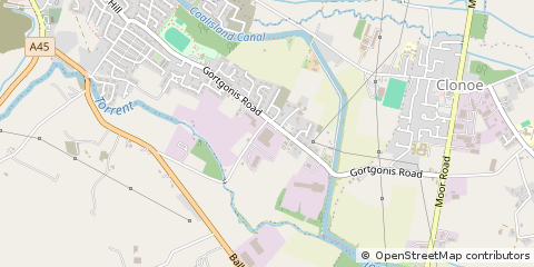 Map of CO. Tyrone