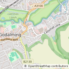 Map of Godalming, Surrey