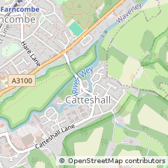Map of Godalming, Surrey