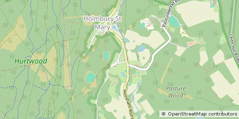 Map of Dorking