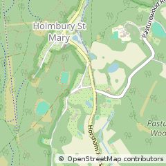 Map of Dorking