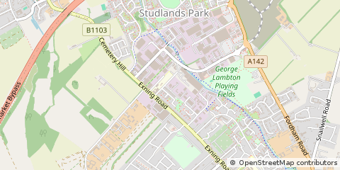 Map of Newmarket, Suffolk