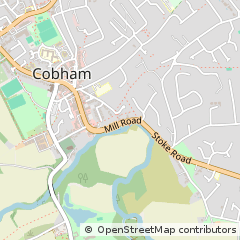 Map of Cobham, Surrey