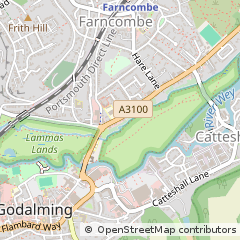 Map of Godalming, Surrey